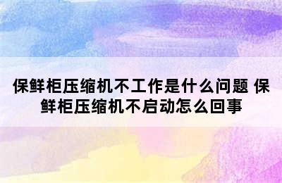 保鲜柜压缩机不工作是什么问题 保鲜柜压缩机不启动怎么回事